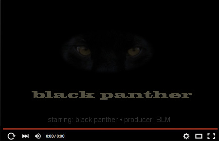 black_panther_blm_2020