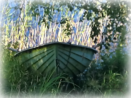 autisirius sweden boot water boat